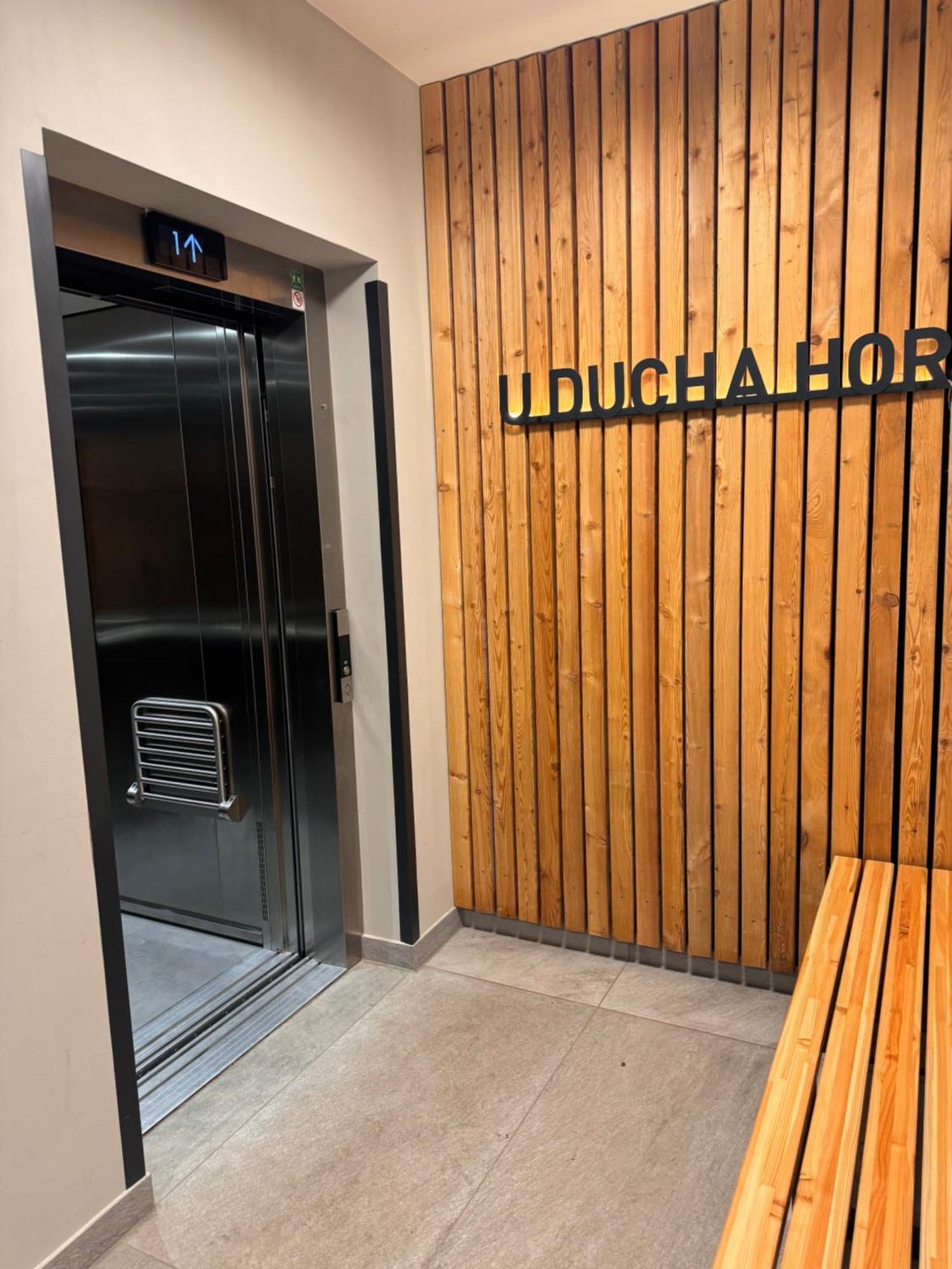 Luxusni Apartman Grand V Centru Harrachova Se Soukromou Mega Terasou, S Privatnim Parkovanim Zdarma, S Moznosti Dobijeni Wallbox Ev A Vyhledem Na Harrachovsky Kostelicek Eksteriør bilde